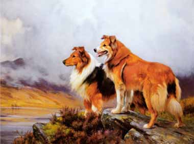 Painting Code#5584-Wright Barker - Collies in a Highland Landscape