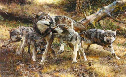 Painting Code#5586-Wolf Family