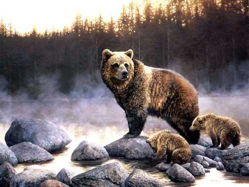 Painting Code#5588-Mother Bear and Babies