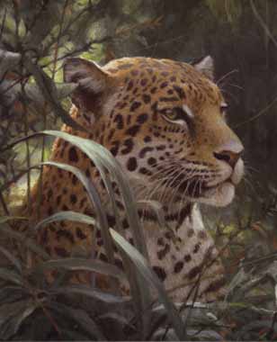 Painting Code#5598-Robert Bateman - Symbol of the Rainforest