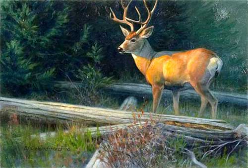 Painting Code#5606-Deer