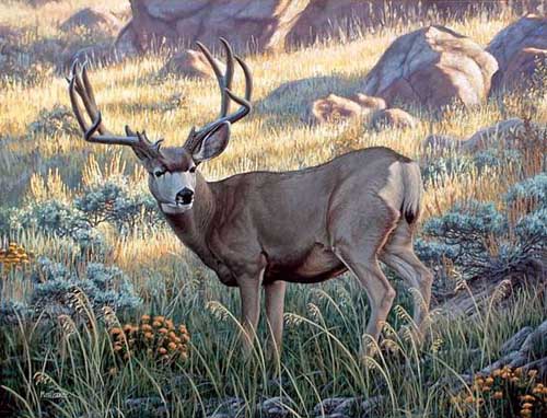 Painting Code#5607-Deer