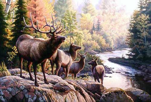 Painting Code#5608-Deers