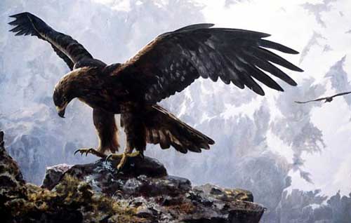 Painting Code#5612-Eagle