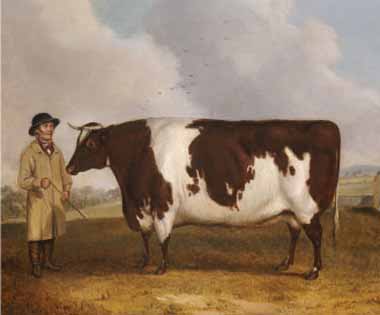Painting Code#5616-Richard Whitford - A Prize Friesian Bull with a Cowherd in a Landscape