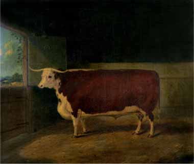 Painting Code#5617-Richard Whitford - Portrait of a Prize Hereford Steer