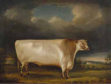 Painting Code#5619-Thomas Weaver - Comet&#039; a Light Roan Short-Horn Bull in a Landscape