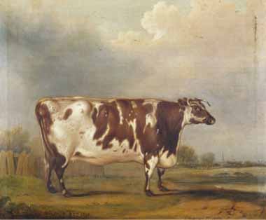 Painting Code#5621-Thomas Weaver - Wildair&#039; an Eight-Year-Old Heifer in a River Landscape