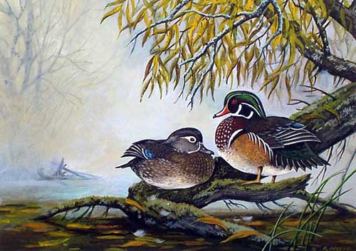Painting Code#5628-Mandarin Ducks