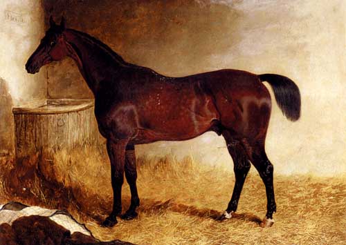 Painting Code#5629-Herring, Jnr., John Frederick: Flexible, A Chestnut Racehorse In A Loose Box