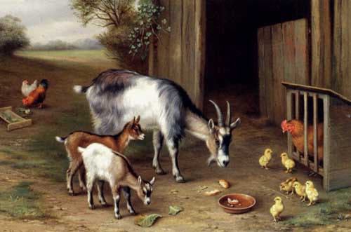 Painting Code#5636-Hunt, Edgar(UK): Goats And Poultry