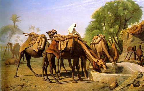 Painting Code#5647-Gerome, Jean-Leon(France): Camels at the Trough

