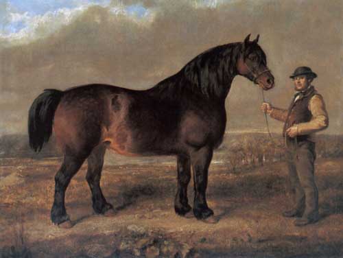 Painting Code#5653-Steell, Gourlay: Prize Clydesdale Mare
