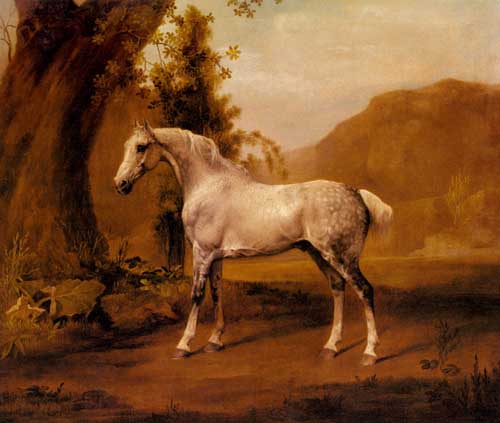 Painting Code#5654-Stubbs, George(UK): A Grey Stallion In A Landscape
