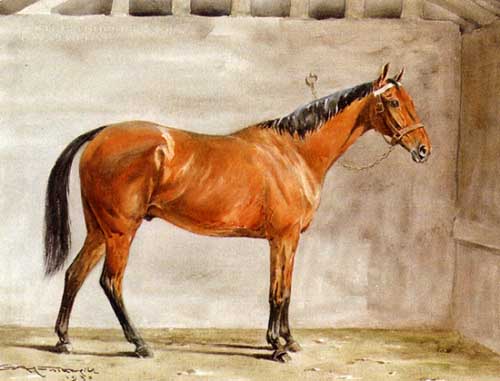 Painting Code#5677-George Gill - After Thought a Light Bay Racehorse 