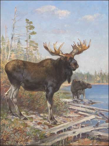 Painting Code#5704-Rungius - New Brunswick Moose