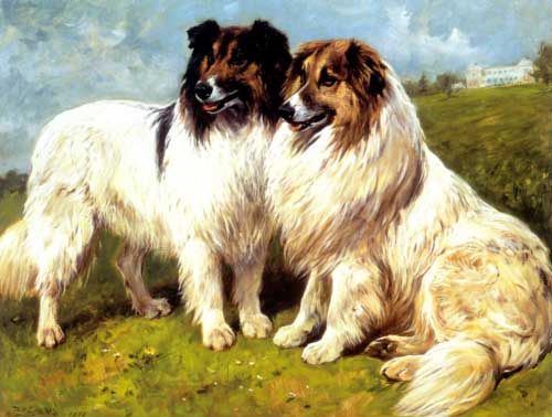 Painting Code#5711-John Emms - Two Collies