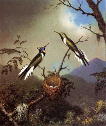 Painting Code#5715-Martin Johnson Heade - Hummingbirds at Their Nest - Sun Gems