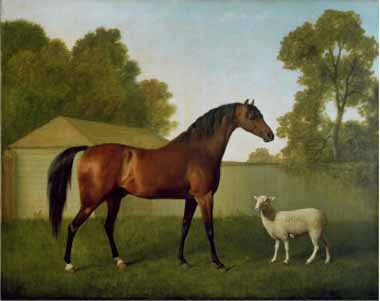 Painting Code#5752-George Stubbs - Dungannon, the Property of Colonel O&#039;Kelly
