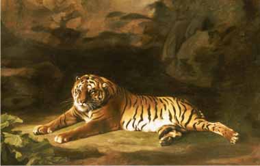 Painting Code#5756-George Stubbs - Portrait of the Royal Tiger
