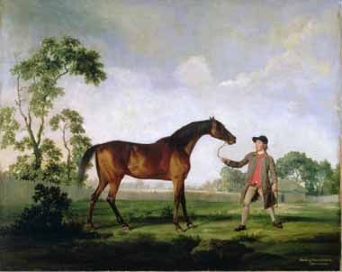Painting Code#5758-George Stubbs - The Duke of Ancaster&#039;s Bay Stallion Spectator, Held by a Groom