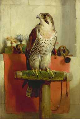 Painting Code#5774-Edwin Henry Landseer - Falcon