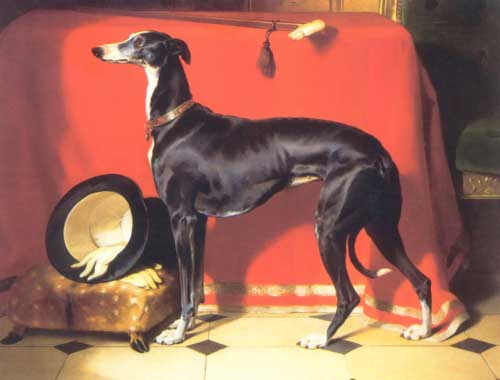 Painting Code#5775-Edwin Henry Landseer - Greyhound