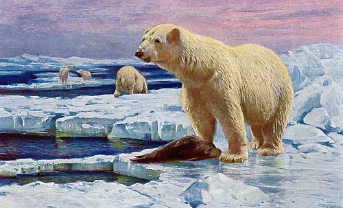 Painting Code#5798-Wilhelm Kuhnert - Polar Bears