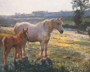 Painting Code#5816-Munnings, Sir Alfred James(UK) - Mare And Foal In A Field Of Buttercups