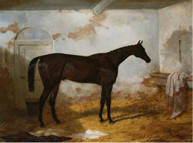 Painting Code#5829-Federico Ballesio - Mr. A.W. Hill&#039;s Bay Colt Sweetmeat in a Loose Box