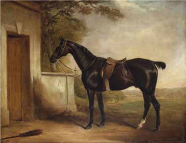 Painting Code#5834-Henry Alken - Portrait of Buckle, First Lord Chesham&#039;s Hunter