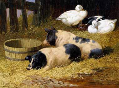 Painting Code#5836-John Herring II - Saddleback Pigs and Ducks in a Farmyard