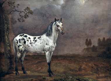 Painting Code#5838-Paulus Potter - The Piebald Horse