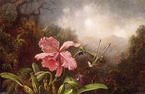Painting Code#6154-Martin Johnson Heade - Two Hummingbirds and Orchid
