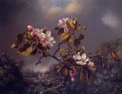 Painting Code#6212-Martin Johnson Heade - Apple Blossoms and Hummingbird