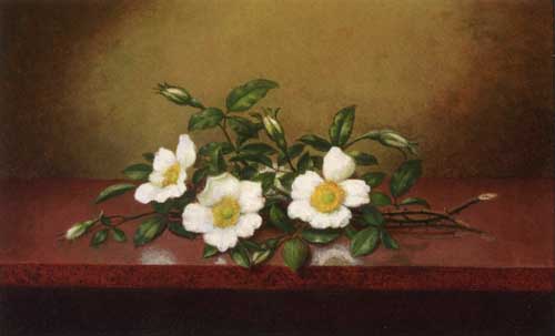 Painting Code#6215-Martin Johnson Heade - Cherokee Roses on a Shiney Table