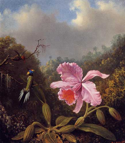 Painting Code#6217-Martin Johnson Heade - Fighting Hummingbirds with Pink Orchid
