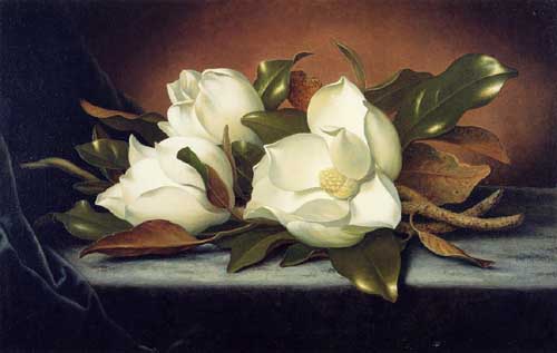 Painting Code#6219-Martin Johnson Heade - Giant Magnolias