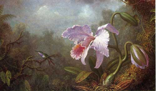 Painting Code#6222-Martin Johnson Heade - Hummingbird and Orchid