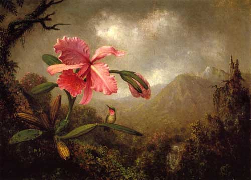 Painting Code#6224-Martin Johnson Heade - Orchid and Hummingbird near a Mountain Waterfall