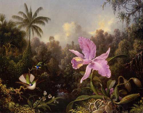Painting Code#6227-Martin Johnson Heade - Orchid and Two Hummingburds
