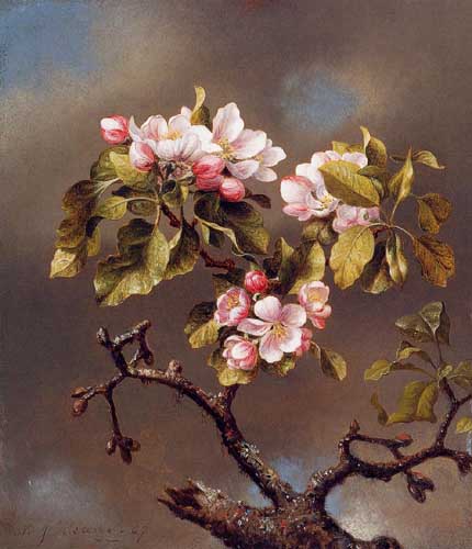 Painting Code#6238-Martin Johnson Heade - Branch of Apple Blossoms against a Cloudy Sky