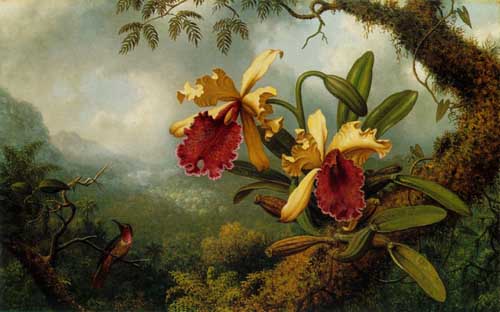 Painting Code#6277-Martin Johnson Heade:Orchids and Hummingbird