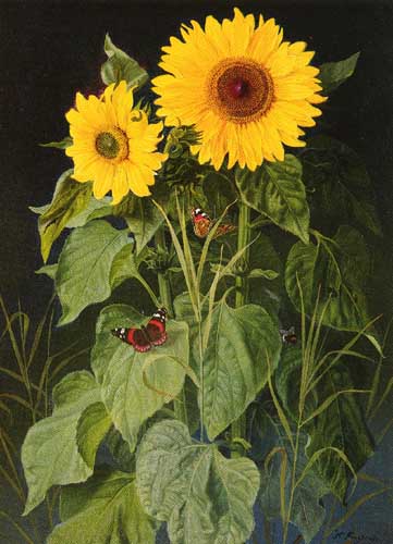 Painting Code#6284-Fristrup, Niels(Denmark): Sunflowers 
 