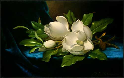 Painting Code#6285-Martin Johnson Heade:Giant Magnolias 