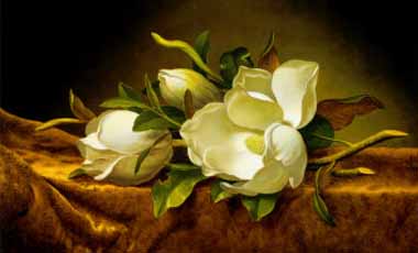 Painting Code#6399-Martin Johnson Heade - Magnolias on Gold Velvet Cloth