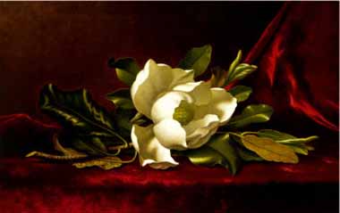 Painting Code#6400-Martin Johnson Heade - The Magnolia Flower