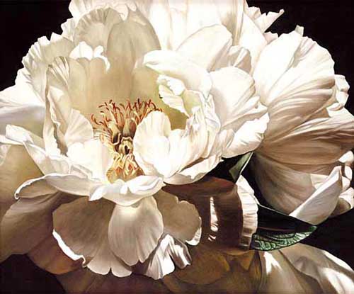 Painting Code#6570-White Flowers
