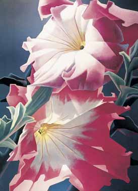 Painting Code#6613-Ed Mell - Two Petunias