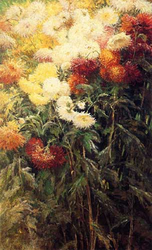 Painting Code#6715-Gustave Caillebotte - Chrysanthemums, Garden at Petit Gennevilliers